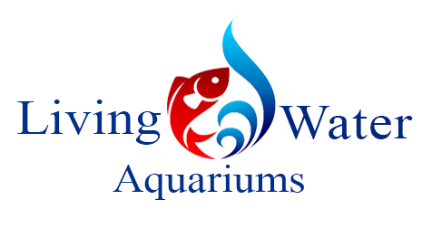 Living Water Aquarium